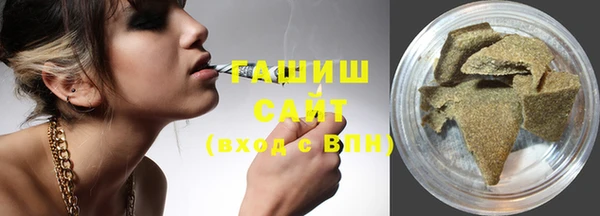 мдпв Богородицк