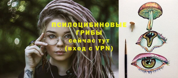 мдпв Богородицк