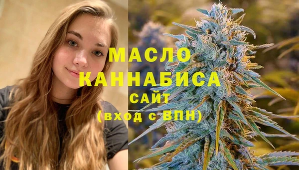 мдпв Богородицк
