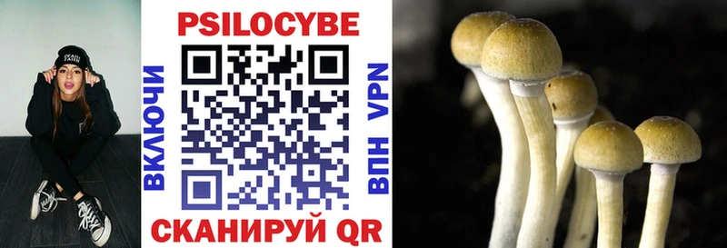 Галлюциногенные грибы Psilocybe  mega   Полесск 